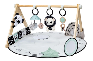 immagine%202026-04-12%20105331