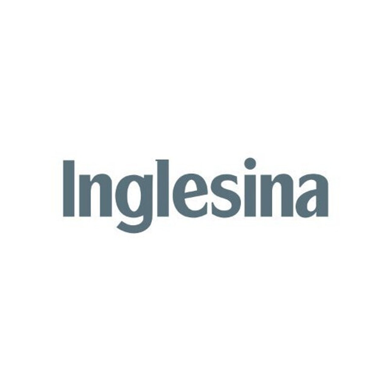 inglesina logo.jpeg