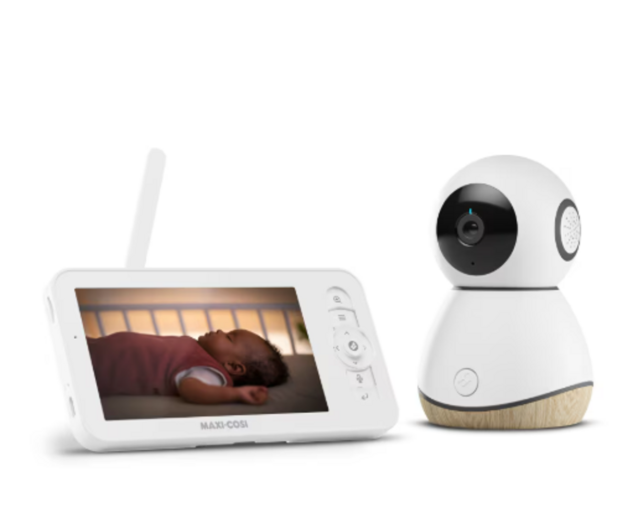 immagine 2026-04-11 134126