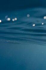 beautiful-underwater-landscape.jpeg beautiful-underwater-landscape.jpeg