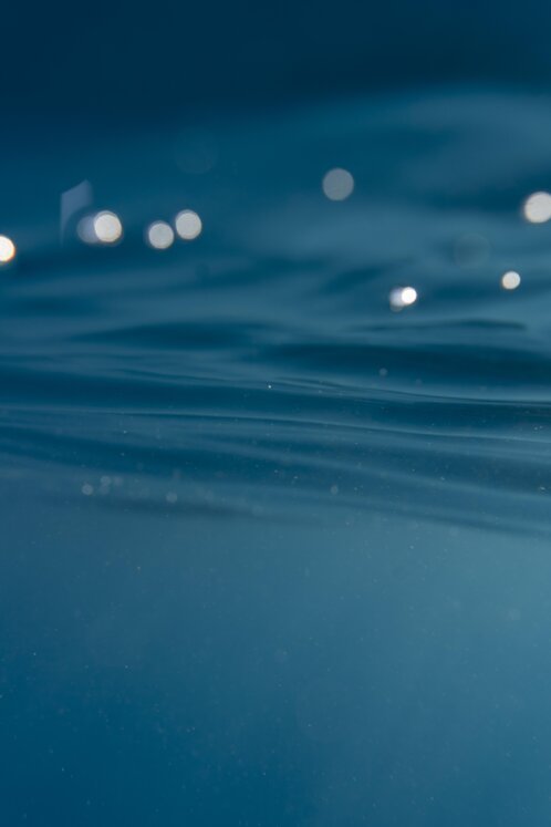 beautiful-underwater-landscape.jpeg