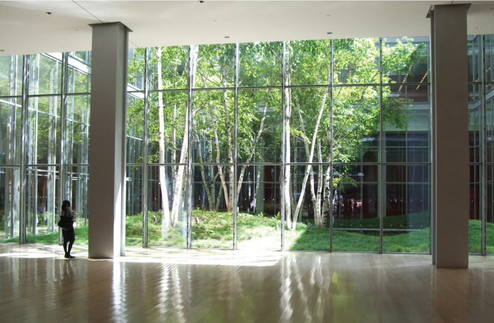 The Bear Grylls Meme by Cobraz.