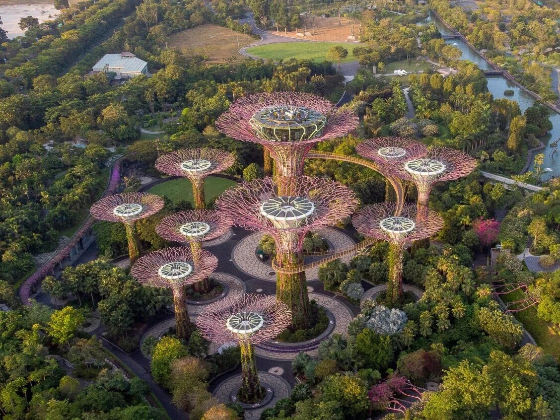 08-supertrees.jpg.jpeg Super trees, Grant Associates, Wilkinson Eyre Architects, Atelier One, Atelier Ten, Singapore, 2012.