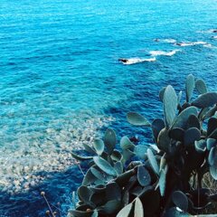 lungomare catania.jpeg