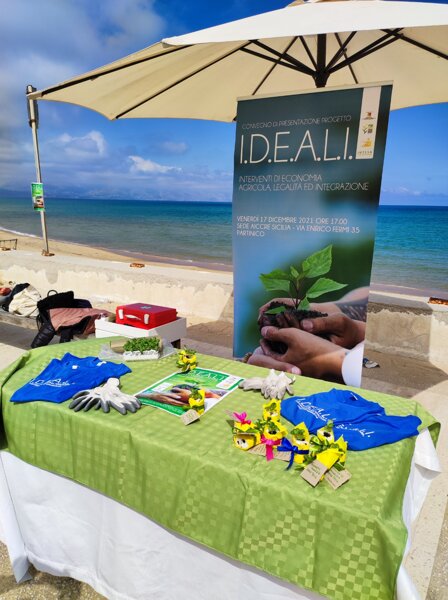 whatsapp image 2026-04-09 at 17.17.04 (1).jpeg