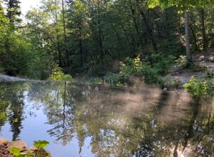 pienza1.jpeg pienza1.jpeg