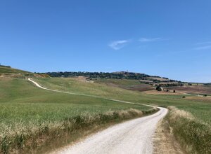 la%20balena.jpeg la%20balena.jpeg