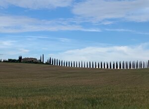 covili.jpeg covili.jpeg