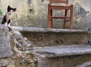 bagni.jpeg bagni.jpeg