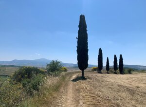 bianca.jpeg bianca.jpeg