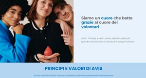 avis2.jpeg