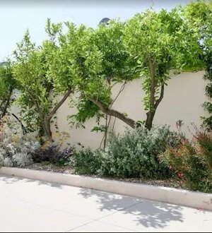Gestione giardini aziendali