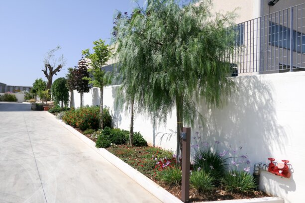 Area green manutenzione