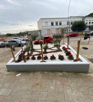 Gestione del verde