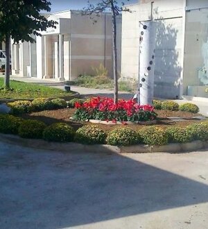 Decorazione verde pubblico
