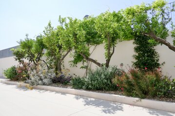 Potatura alberi e siepi