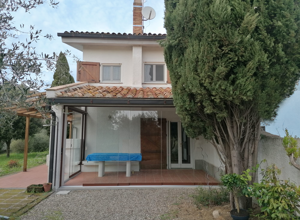 raccogliere%20ulivi