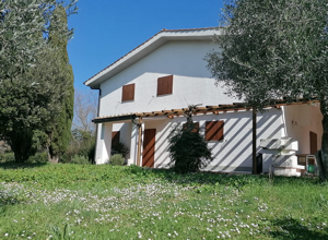 la%20casa%20dell'upupa%20senza%20uccello