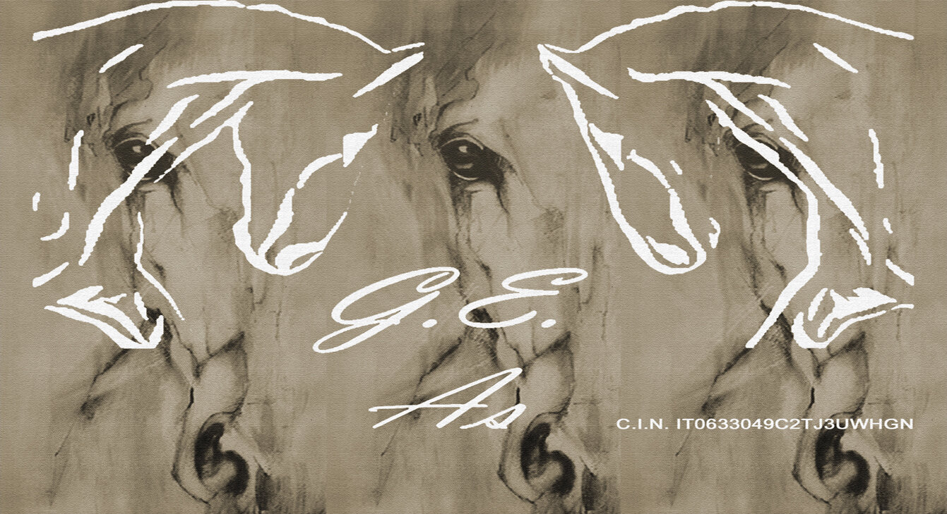 sfondo con toni caldi logo e cin 1341x729.jpeg sfondo con toni caldi logo e cin 1341x729.jpeg