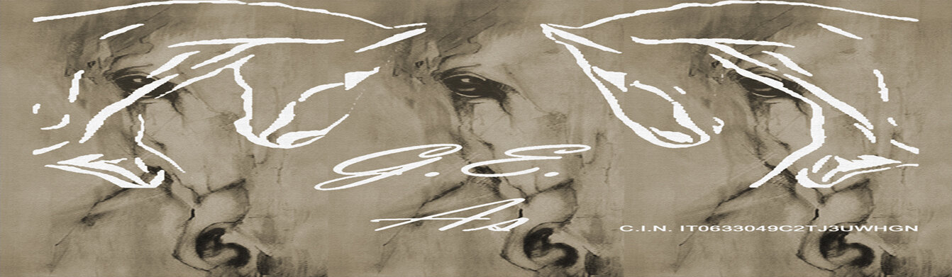 sfondo con logo e cin 1342x391.jpeg