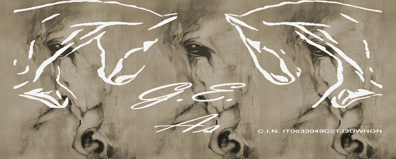 sfondo about con logo e cin 1342x540.jpeg