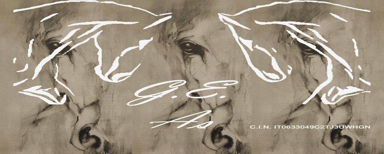 sfondo con logo e cin 1342x540.jpeg