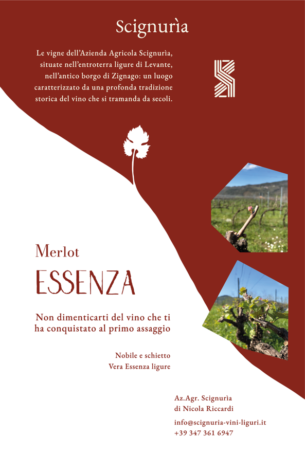 volantino essenza volantino essenza