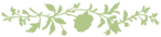 divisore_colore_modificato divisore_colore_modificato