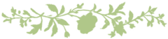 divisore_colore_modificato