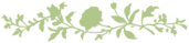 divisore2_colore_modificato