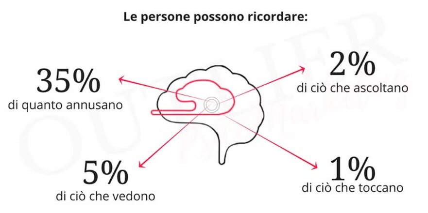 466114954_9109197555765638_5752456717932817439_n.jpeg 466114954_9109197555765638_5752456717932817439_n.jpeg