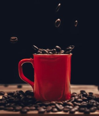 img_5952.jpeg img_5952.jpeg