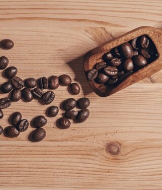 img_5956.jpeg img_5956.jpeg