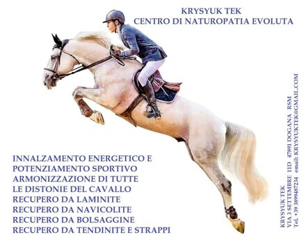 cavallo.jpeg