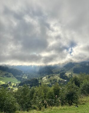 img_8847.jpeg img_8847.jpeg