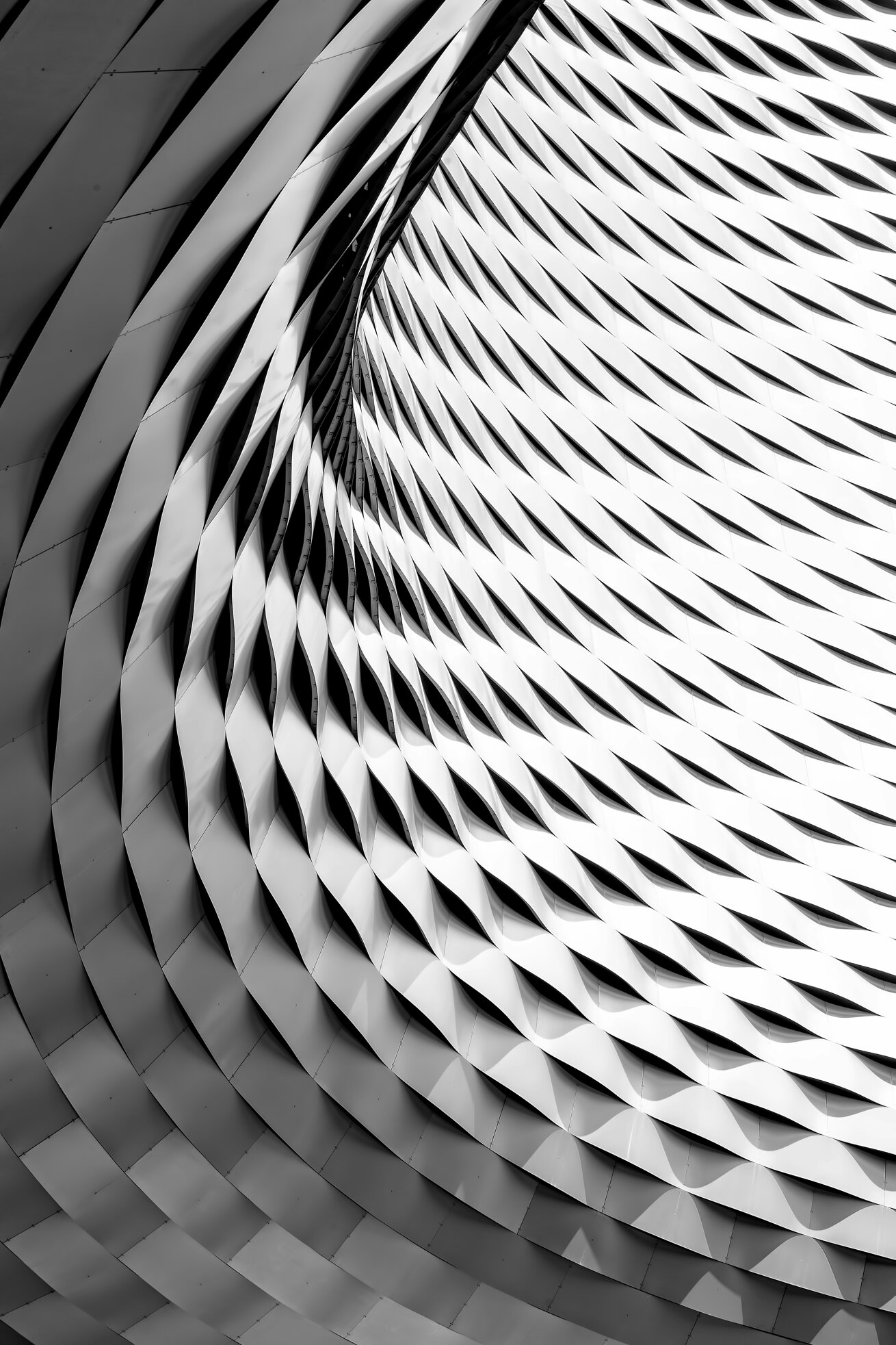 ricardo-gomez-angel-5ym26luicfu-unsplash.jpeg