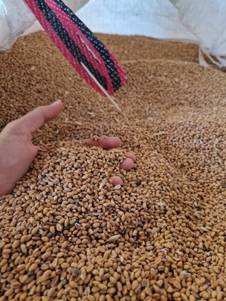 whatsapp image 2025-02-26 at 10.08.57.jpeg