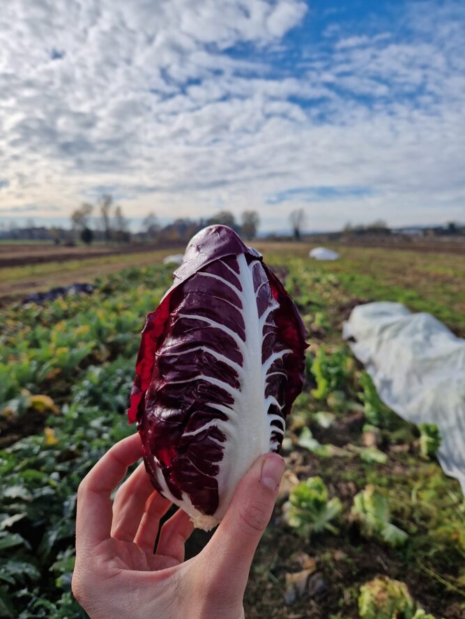 whatsapp image 2025-03-13 at 18.48.06.jpeg