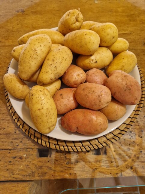 immagine whatsapp 2025-03-13 ore 18.50.43_2caff85b.jpeg immagine whatsapp 2025-03-13 ore 18.50.43_2caff85b.jpeg