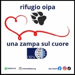 progetto-zampa