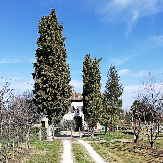 casa-pieve-50x50.jpeg