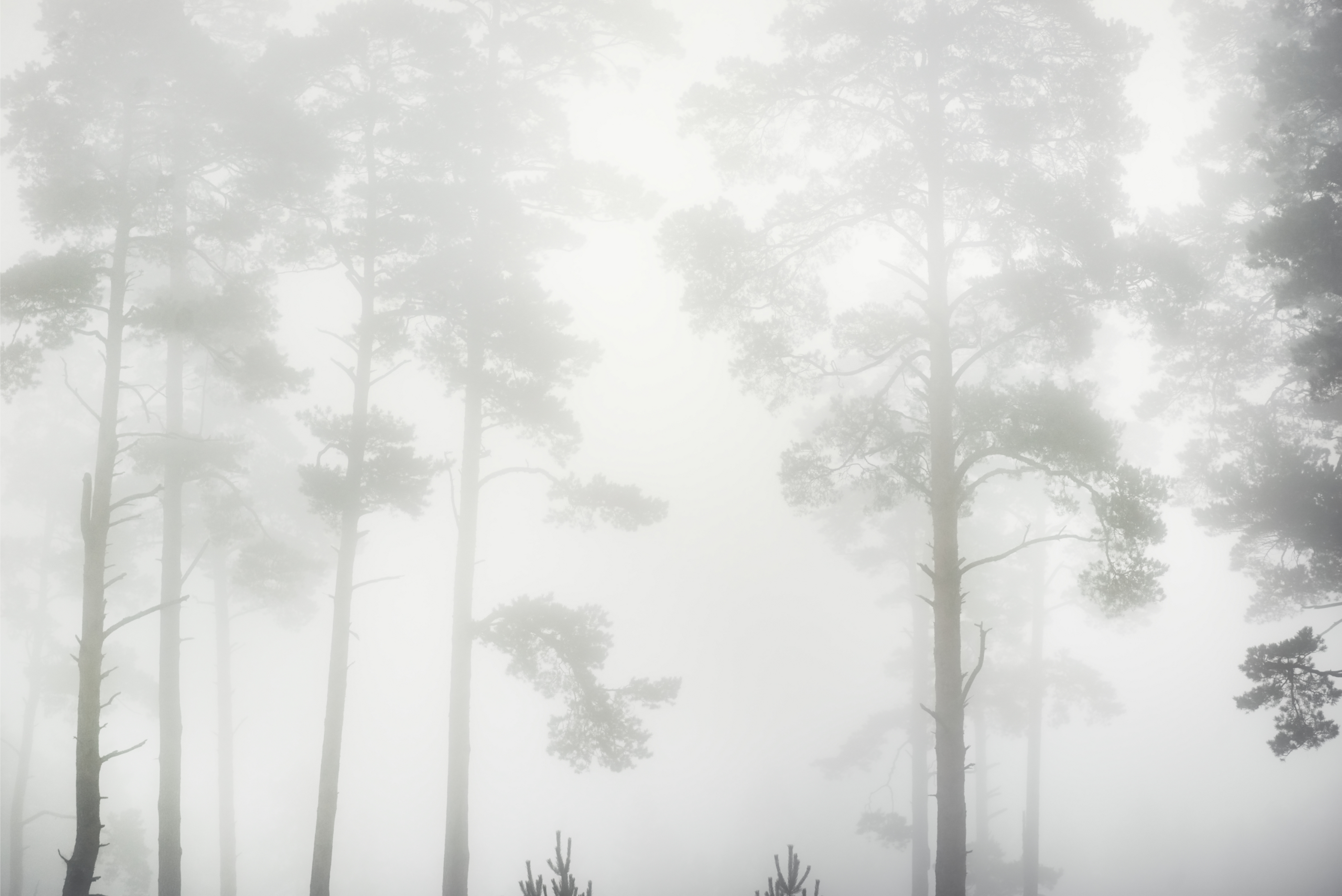 1920x2560