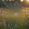 40718_2a37484bf433a694fa9b1819f43e22db7a43f4b1