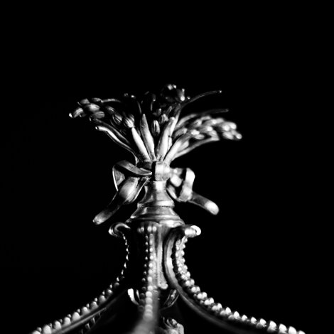 foto artistiche