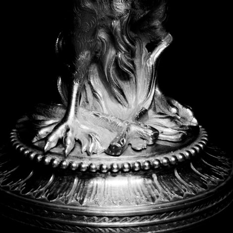 foto artistiche