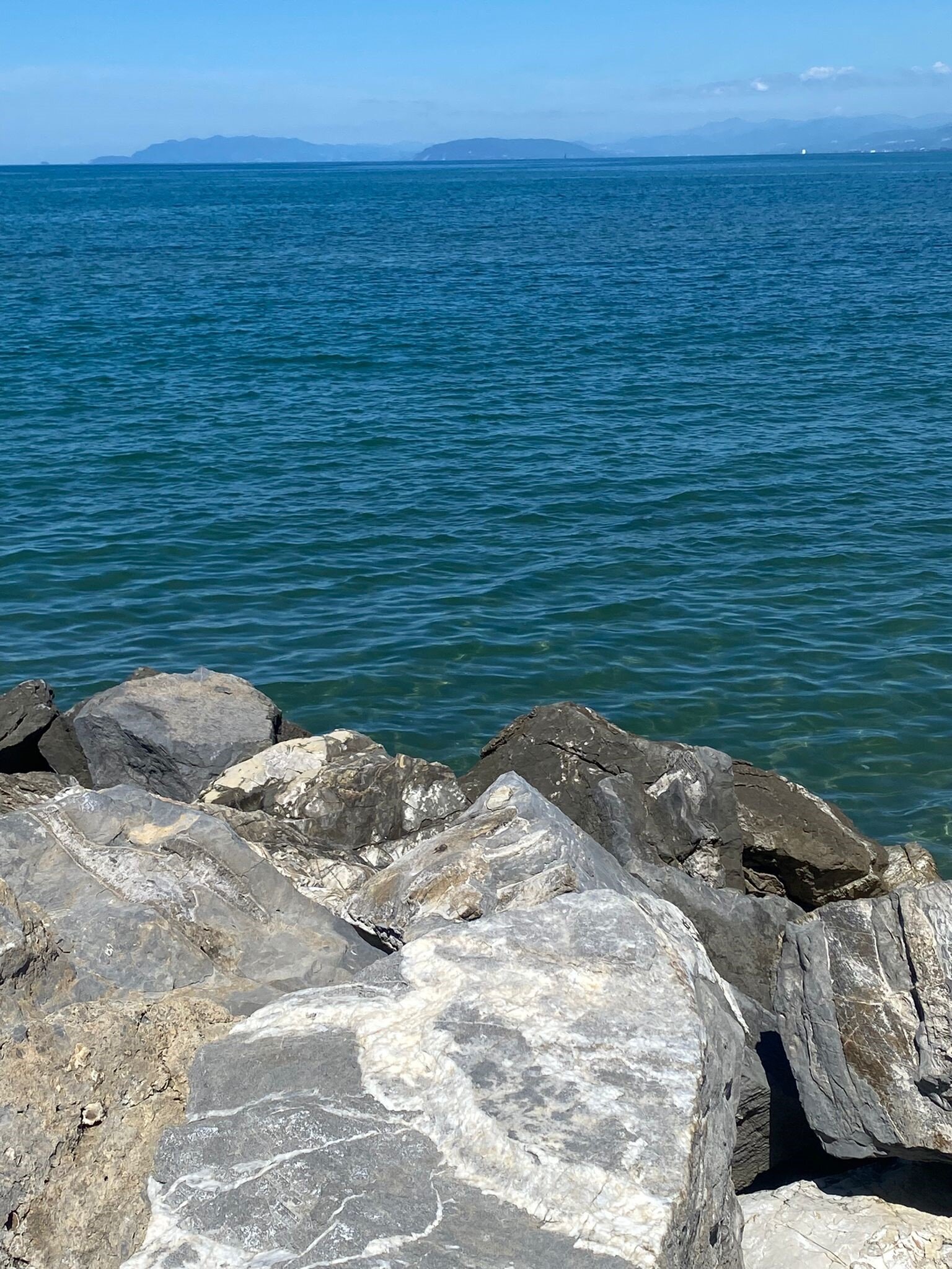 mare-2.jpeg mare-2.jpeg