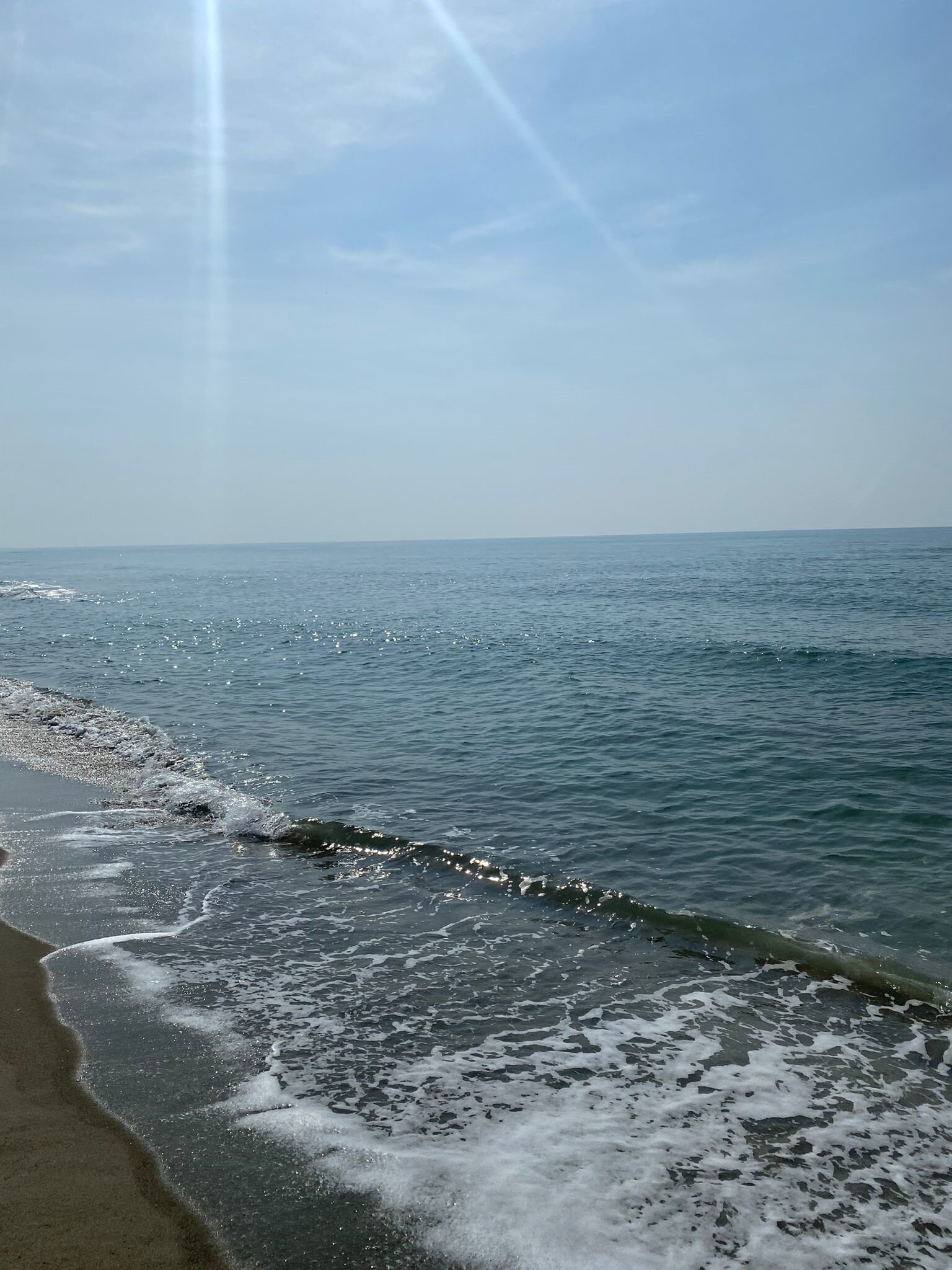 mare-6.jpeg mare-6.jpeg