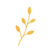 logo-4