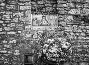 _dsc4246.jpeg