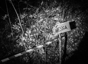 _dsc8753.jpeg